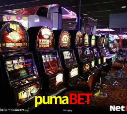 pumabet login